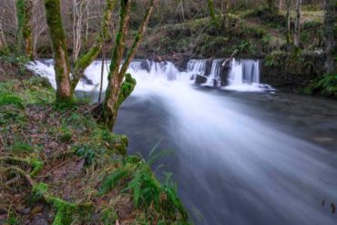 Qué hacer en Samos Lugo A Casa da Botica