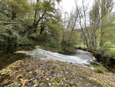La Ruta del Camino de Santiago a Través de Samos